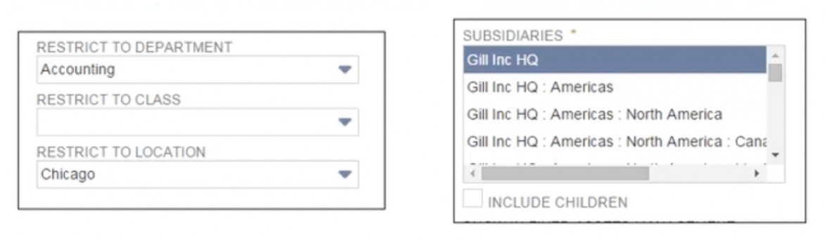 NetSuite Chart of Accounts, Simplified! | Suite Answers That Work