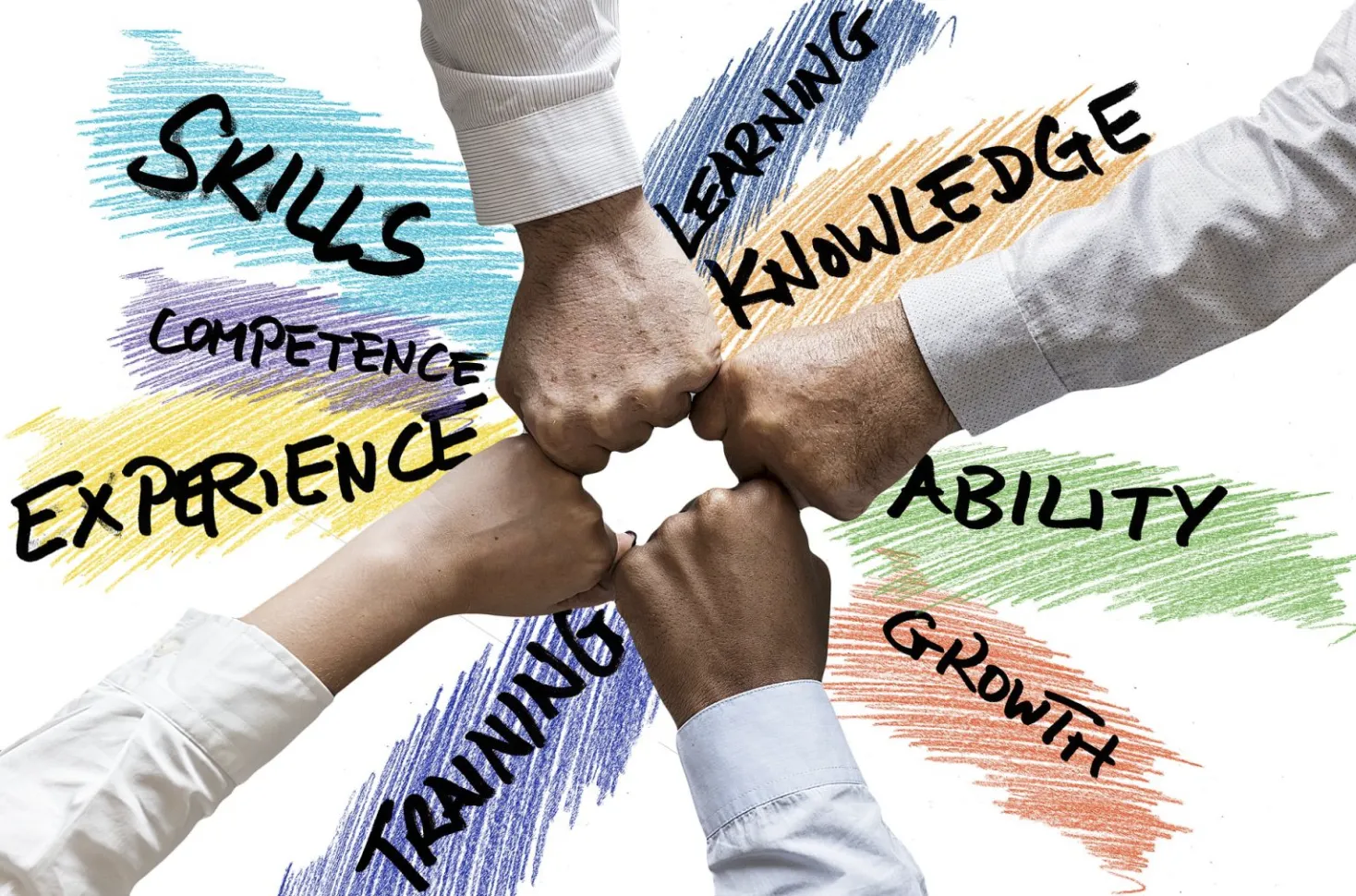 5 Key Actions for Successful Team Management