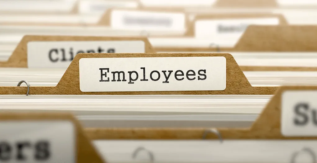 Guide to Customizing Subtabs and Fields on an Employee Record in NetSuite