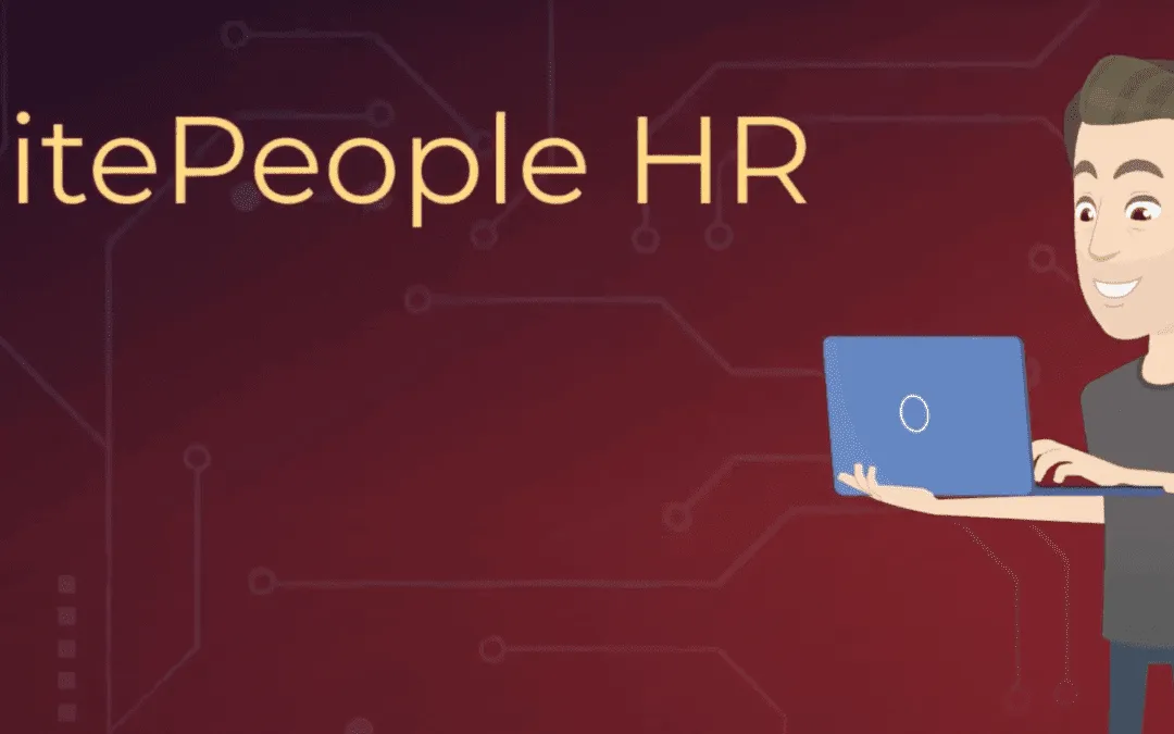 Understanding NetSuite Employee Center Roles